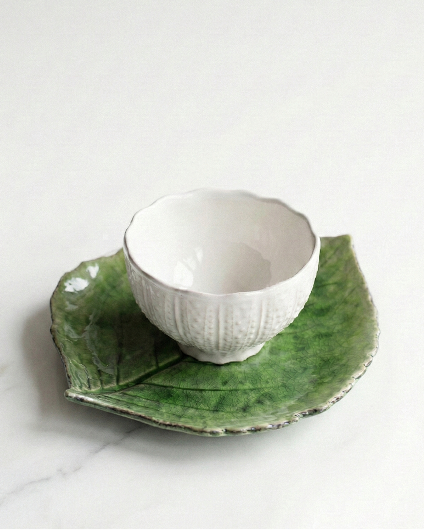 Mini Kom op voet Zeedieren