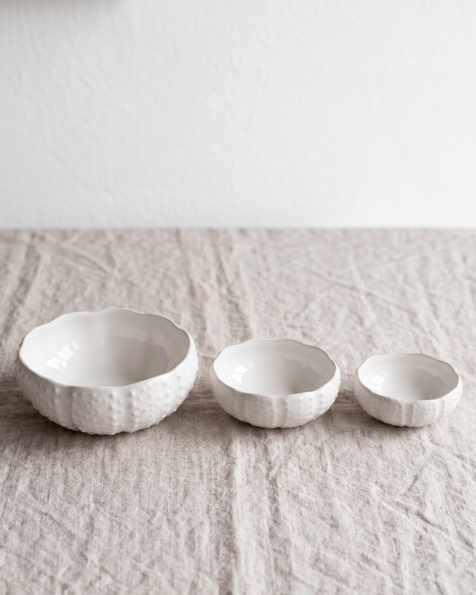 Set van 3 Schalen Egel Sea Creatures